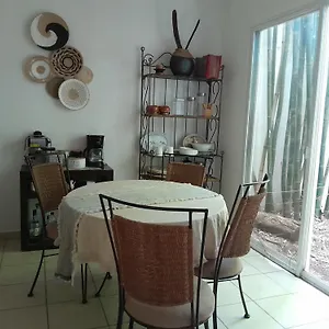  Séjour chez l'habitant Casa Mariposas Mexique